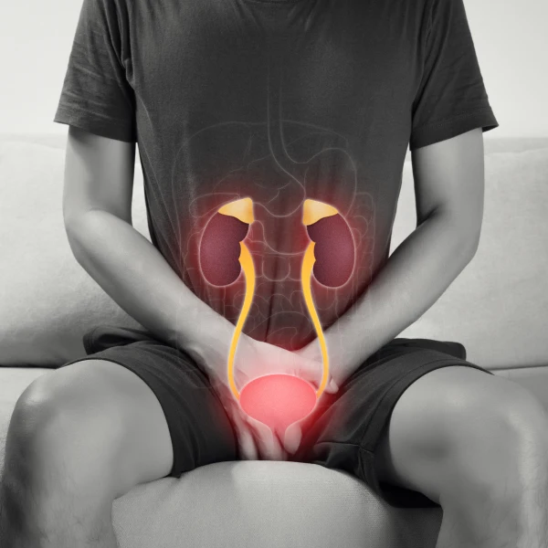 Bladder Problems Bladder Problems