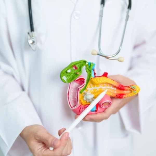 Gallbladder Disease Gallbladder Disease
