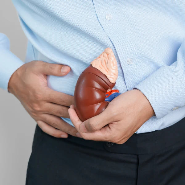 Kidney Cancer Kidney Cancer