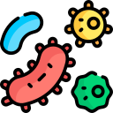 bacteria bacteria